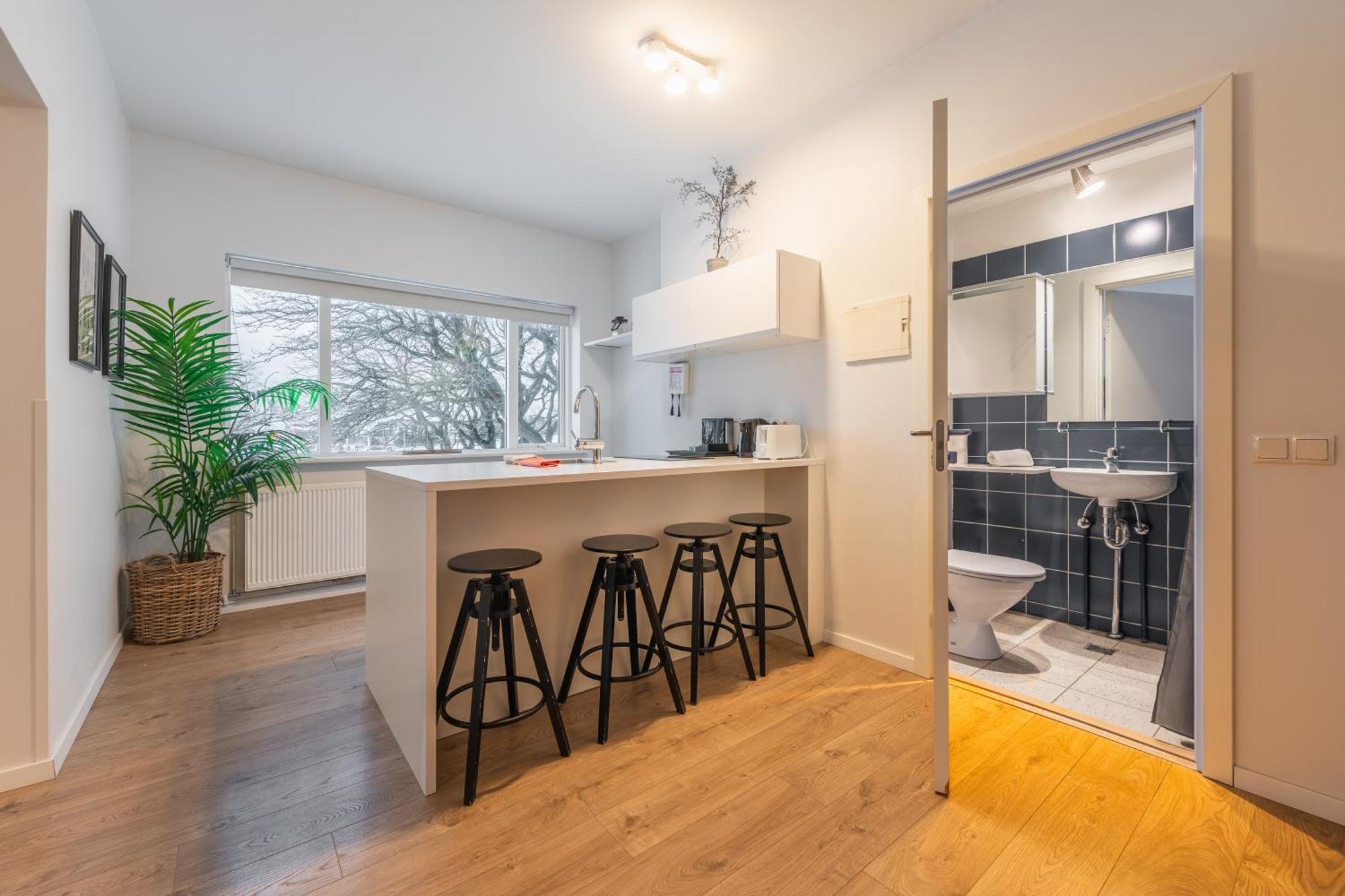 Day Dream Soleyjargata Rooms & Apartments 레이캬비크 외부 사진